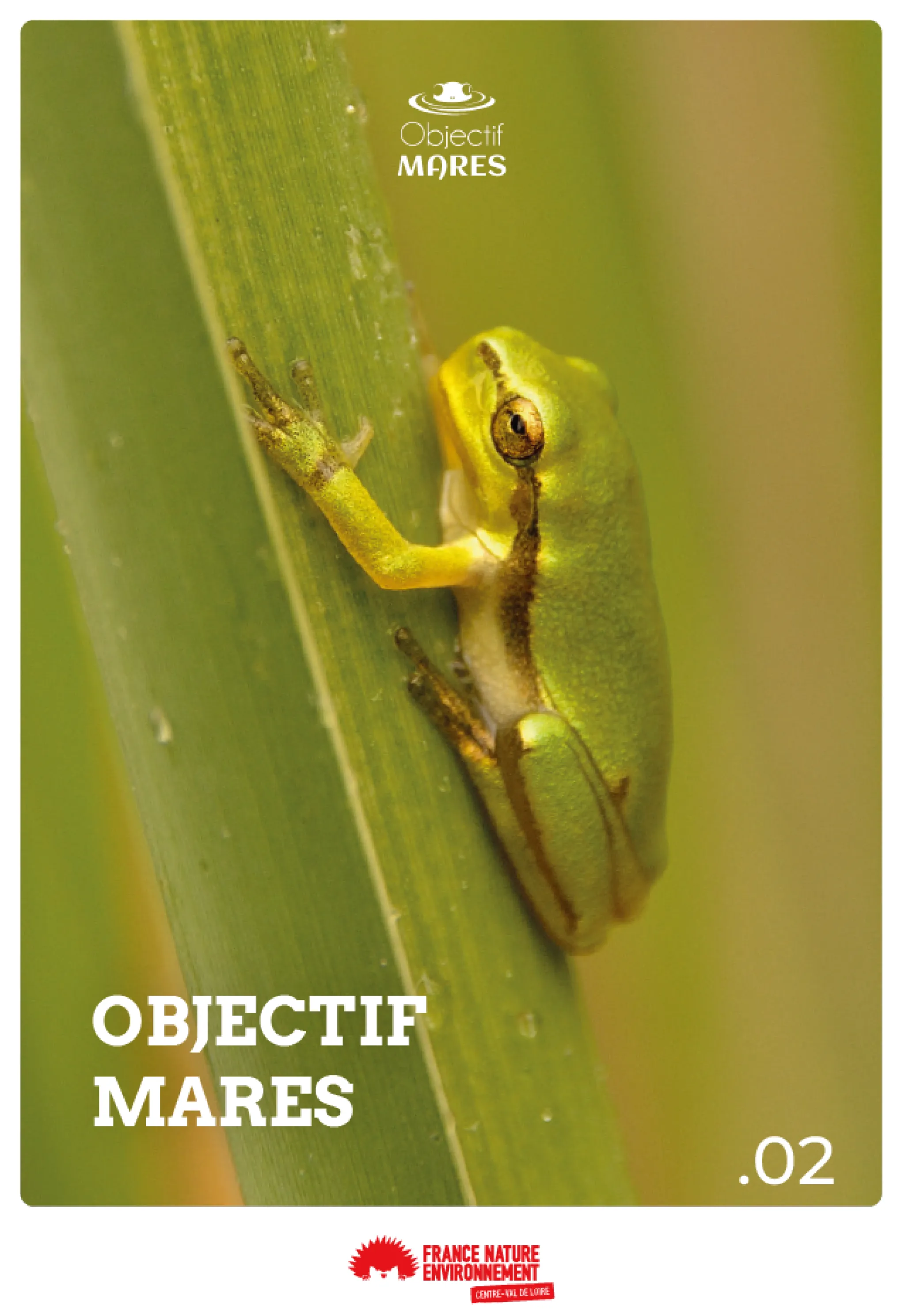 Flyer Objectif MARES 2025