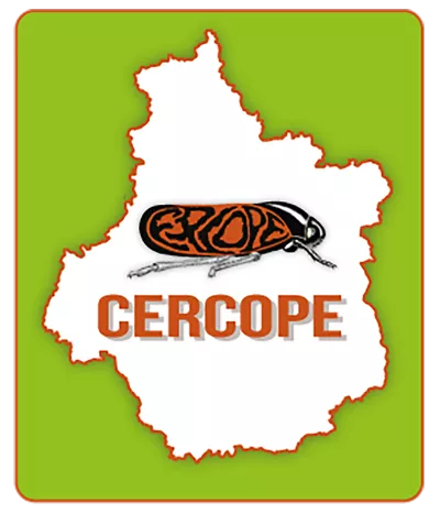 CERCOPE CERCOPE